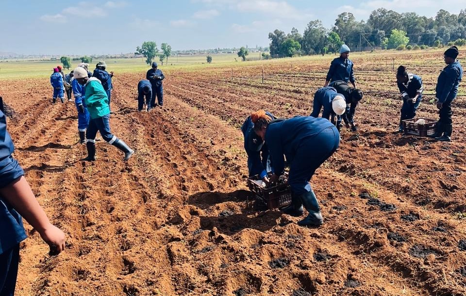 Corporate Training